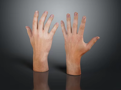 Detailed Hand Organ 3D Model Showing Anatomical Structure And Skin Texture Features 3d model