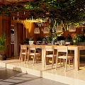 Natural Ambiance Wooden Dining Kitchen Interior With Green Plants Hanging Lights And Dining Table Chairs