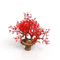 Bonsai Tree With Red Flowers And Brown Trunk Multiple Branches On White Background