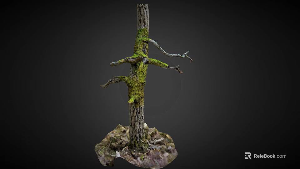 Natural Tree Trunk Covered With Green Moss And Small Branches With Fallen Leaves Base 3d model 