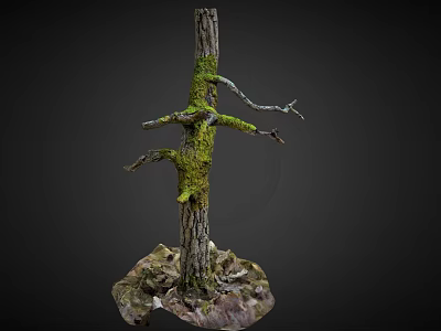 Natural Tree Trunk Covered With Green Moss And Small Branches With Fallen Leaves Base 3d model