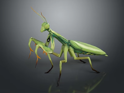 Realistic Green Mantis Featuring Detailed Body Structure Long Forelegs And Antennae 3d model