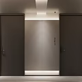 Contemporary Elevator Hallway Design With Dark Doors And Recessed Lighting 3d model