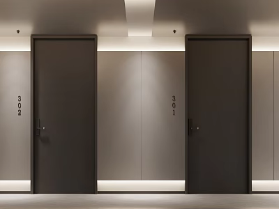 Contemporary Elevator Hallway Design With Dark Doors And Recessed Lighting 3d model