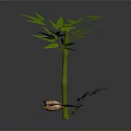 Realistic Flying Bat With Spread Wings Near Green Bamboo Plant On Dark Gray Background