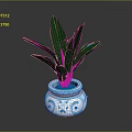 Green Leafy Plant In Blue And White Patterned Ceramic Pot With Fresh Leaves