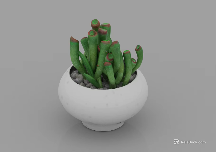 Potted Green Succulent Plant With Red Tips In White Pot And Small Pebbles 3d model 