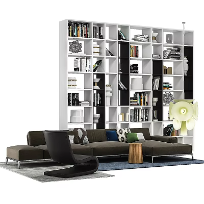 Modern Living Room Interior With Large Bookshelf Sofa And Decorative Items 3d model