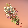 Bouquet of White Orange Pink Flowers With Green Leaves Tied With Red Pink Ribbon