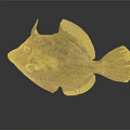 Unique Brown Spotted Fish With Yellow Fins And Large Eyes Against Dark Reflective Surface