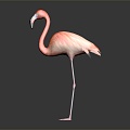 Modern Flamingo Firebird Cartoon Firebird 3d model