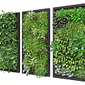 Decorative Vertical Living Plant Wall Designs with Various Green Plants and Foliage
