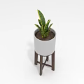 Indoor Green Plant with White Pot on Brown Wooden Stand for Home Decor