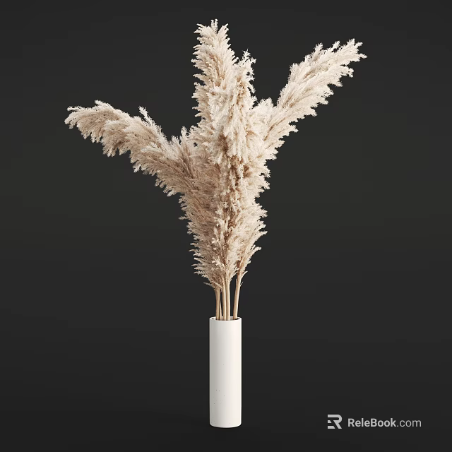 Natural Dried Pampas Grass Arrangement in White Vase on Black Background 3d model 