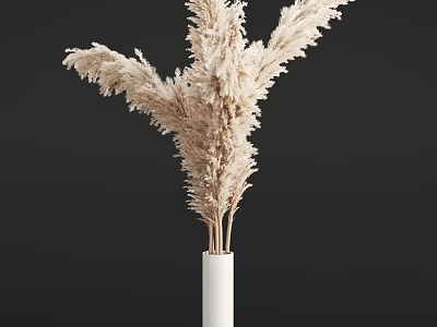Natural Dried Pampas Grass Arrangement in White Vase on Black Background 3d model