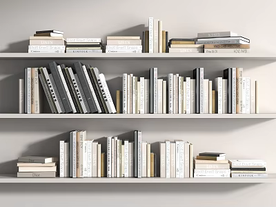 Neatly Arranged Books on White Bookshelves with Spines in White Black Light Brown Stacked and Upright 3d model