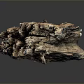 Weathered Plant Tree Trunk With Natural Texture Brown Blue Colors On Gray Background Reflection
