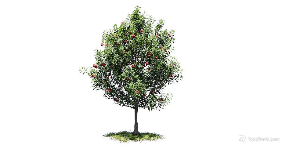 Lush Green Leafy Arbor With Red Fruits On Trunk Base And Grass 3d model 