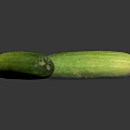 Fresh Green Cucumbers With Vibrant Skin On Dark Reflective Surface 3d model