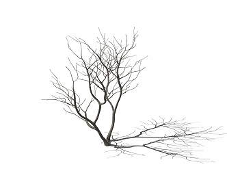 Modern Dead Tree Decorations Ornaments Dead Tree 3d model