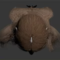 Metallic Head Model Featuring Facial Organ Structure And Long Brown Hair