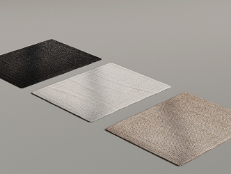 Modern Carpet 3d model