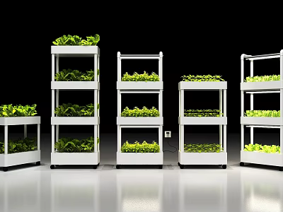Vertical Multi Tiered Indoor Agricultural Equipment with Green Plant Growing Shelves 3d model