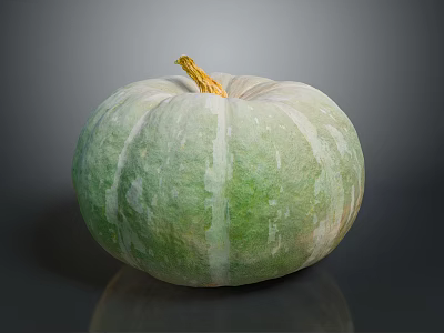 Fresh Green and White Pumpkin with Yellow Stem on Gray Background 3d model