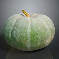 Fresh Green and White Pumpkin with Yellow Stem on Gray Background