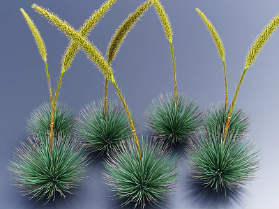 Several Green Grass Like Plants With Yellow Spiky Blooms Against Blue Background 3d model