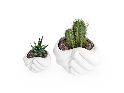 Small and Large Potted Succulent Cactus in White Hand Shaped Ceramic Pots with Soil 3d model