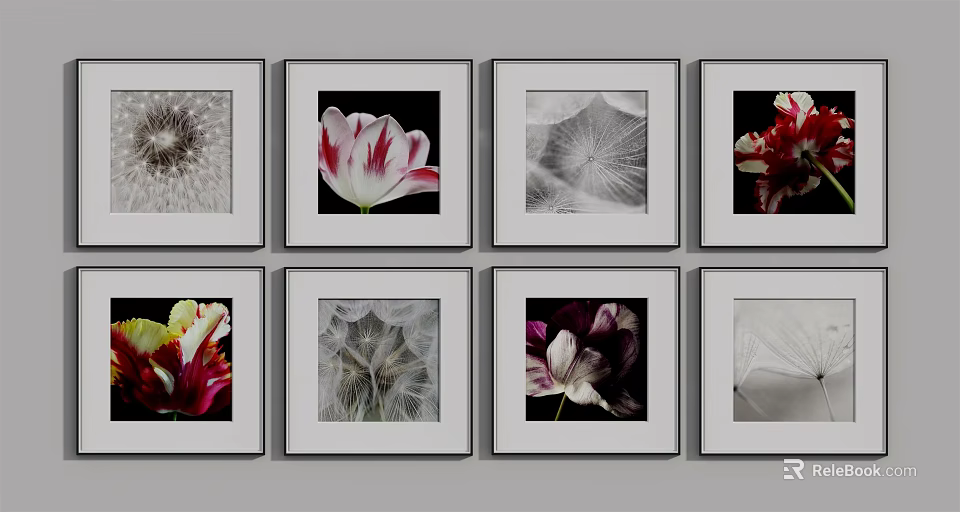 Framed Botanical Paintings Featuring Tulips Dandelion Seeds and Leaves in Black White and Colorful Tones 3d model 