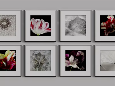 Framed Botanical Paintings Featuring Tulips Dandelion Seeds and Leaves in Black White and Colorful Tones 3d model