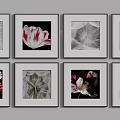 Framed Botanical Paintings Featuring Tulips Dandelion Seeds and Leaves in Black White and Colorful Tones
