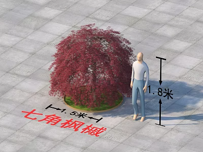 Commercial Red Seven Pointed Maple Tree Equipment with 15m Size and 18m Human Model 3d model