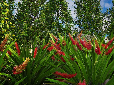 Shrubs With Red And Yellow Flowers And Long Green Leaves In Garden With Tall Trees 3d model