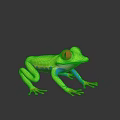 Vibrant Green Frog with Red Eyes Blue Legs and Orange Toes on Dark Reflective Surface