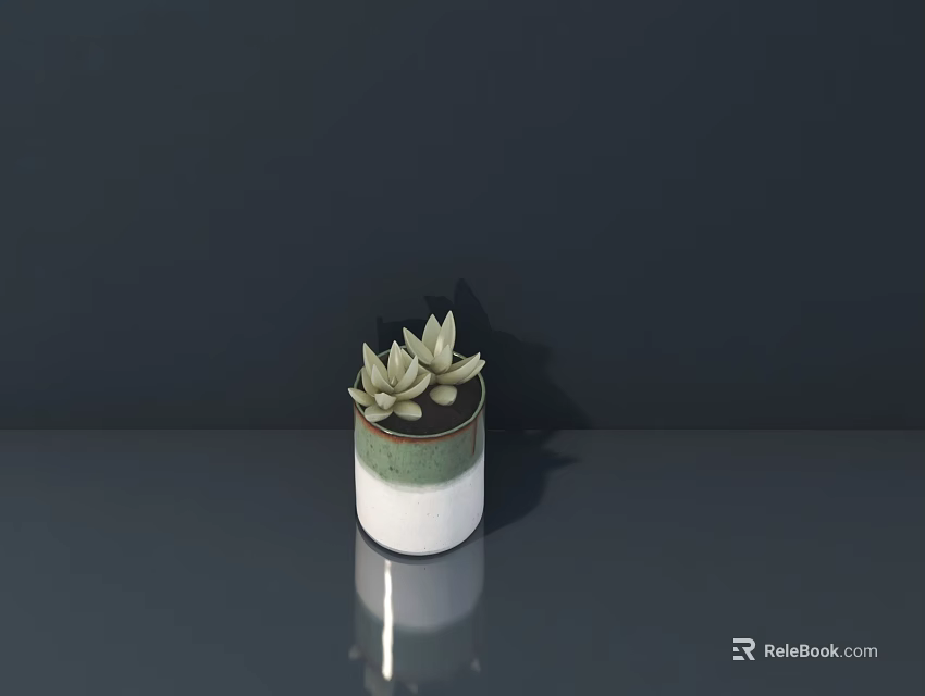Succulent Bonsai Plant in Green and White Pot on Shiny Dark Surface 3d model 