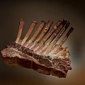 Juicy Grilled Ribs With Tender Meat And Seasoned Crispy Surface