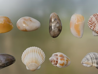 Collection of Natural Seashells and Pebbles with Diverse Colors and Shapes 3d model