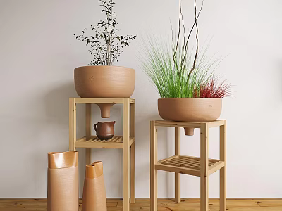 Bonsai Potted Plants in Ceramic Pots on Wooden Stands with Fresh Green Foliage 3d model