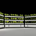 Indoor Vertical Farming Equipment With Multiple Shelves For Green Leafy Plants