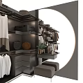 Elegant Modern Closet Interior Design With Hanging Clothes Shelves Drawers And Shoe Storage
