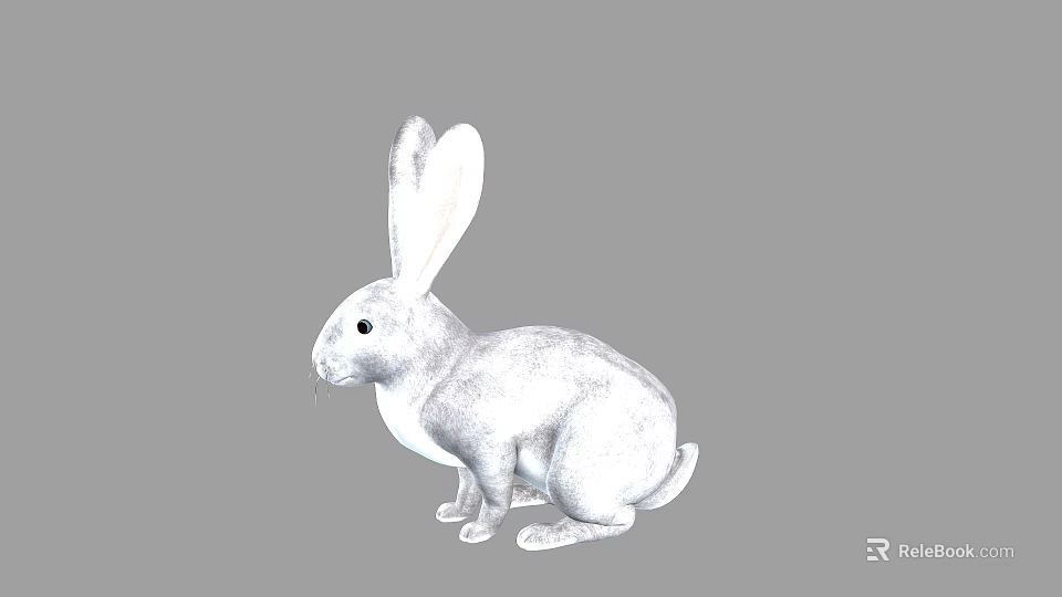 Cute White Rabbit Sitting With Long Ears Soft Fur And Black Eyes 3d model 