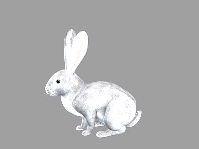 Cute White Rabbit Sitting With Long Ears Soft Fur And Black Eyes 3d model