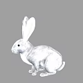 Cute White Rabbit Sitting With Long Ears Soft Fur And Black Eyes