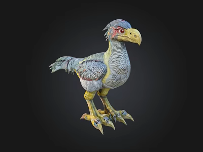 Colorful Prehistoric Bird 3D Model With Large Beak Sharp Claws And Feathers 3d model