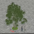 Three Level Arbor with Circular Lawn on Square Stone Pavement and Person Standing Beside