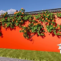 Vibrant Orange Building Exterior Wall With Green Vines Orange Flowers Blue Sky And Grass