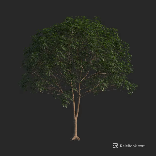 Lush Green Arbor With Dense Foliage And Straight Trunk On Dark Background 3d model 